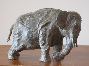 Vieil éléphant      