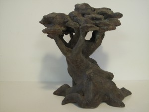 043_Baobab (1)