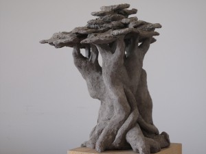 045_Baobab (3)